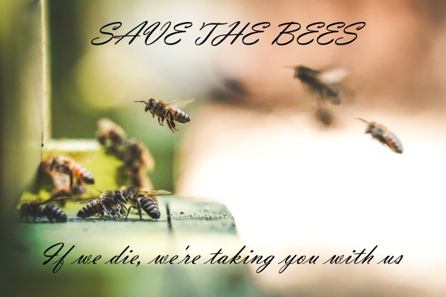 Sursă foto: Eric Ward