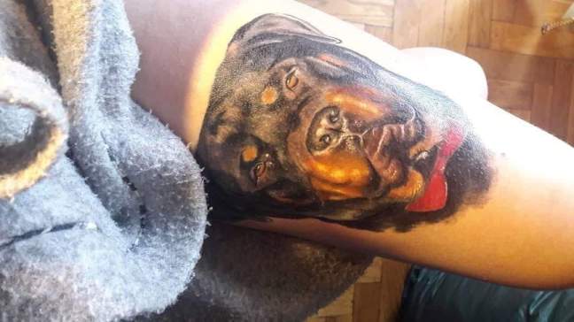 interviuri cu vegani Interviuri cu vegani