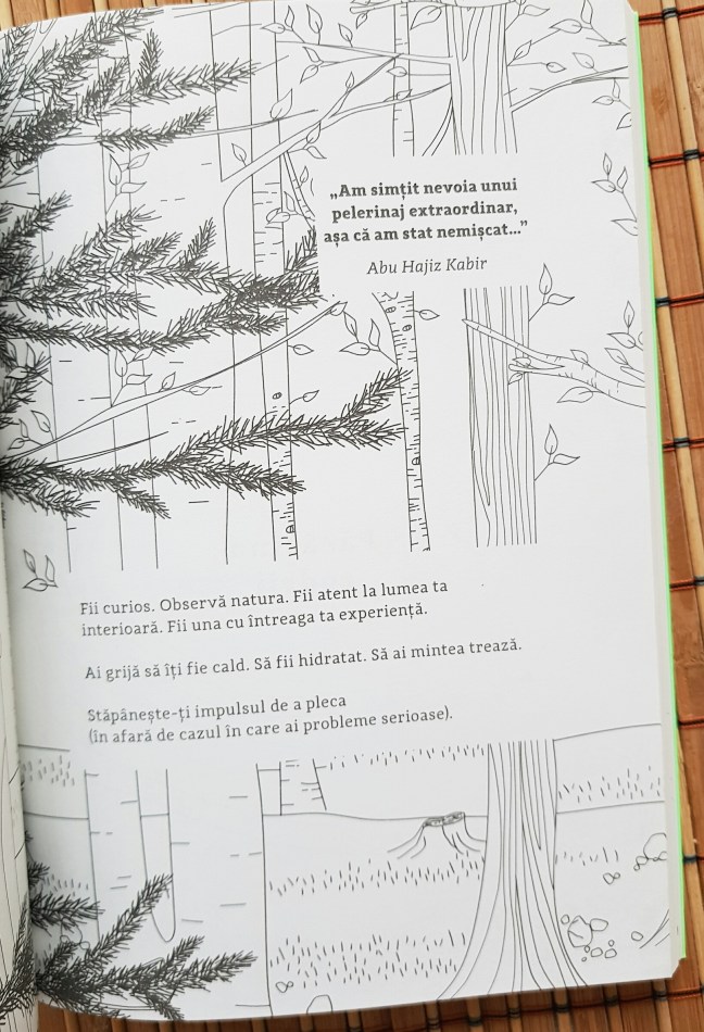În natură. Cum să te deconectezi și să te regăsești prin mindfulness - Alexandra Frey și Autumn Totton - Recenzie