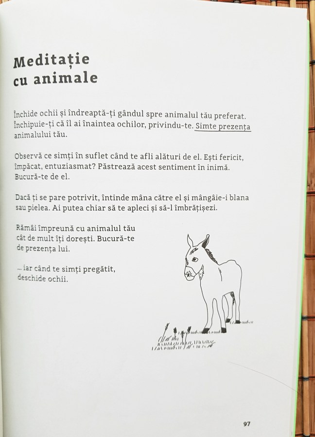 În natură. Cum să te deconectezi și să te regăsești prin mindfulness - Alexandra Frey și Autumn Totton - Recenzie