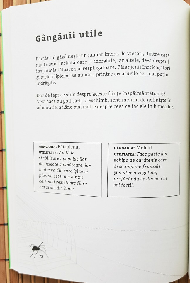 În natură. Cum să te deconectezi și să te regăsești prin mindfulness - Alexandra Frey și Autumn Totton - Recenzie
